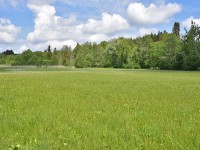 Murnauer-Moos 2018005 110