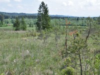 Murnauer-Moos 2018005 120