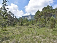 Murnauer-Moos 2018005 122