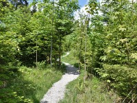 Murnauer-Moos 2018005 127