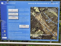 Murnauer-Moos 2018005 162