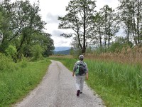 Murnauer-Moos 2018005 179