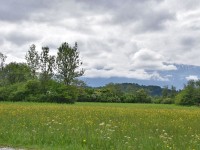 Murnauer-Moos 2018005 186