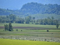 Nach der Unwetternacht