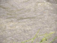 Dreckwasser, da wird noch gearbeitet