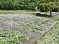 Murnauer-Moos 2018005 202