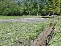 Murnauer-Moos 2018005 203