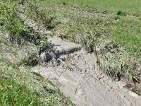 Murnauer-Moos 2018005 207