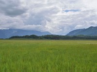 Murnauer-Moos 2018005 228