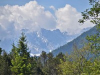 Murnauer-Moos 2018005 243