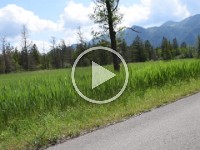 Murnauer-Moos 2018005 244