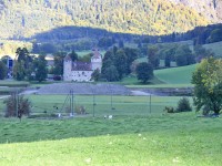 Herrschaft-20171012 105