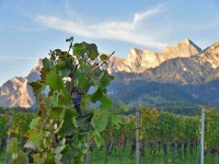 Herrschaft-20171012 128