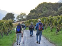 Herrschaft-20171012 130