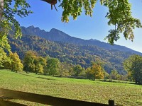 Eichehaft - e grosi Wiese mit Eiche