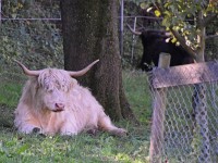 Herrschaft-20171013 232