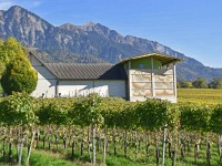 Do isch s Wiiguet vum Gantenbein, er macht gonz en rare Wii