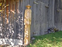 Herrschaft-20171013 240