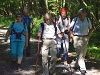 Denn gummer s Gruebewegli