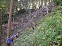 Do bewegt sichs no ötsche