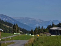 De Kafi mit bsuech vo de Rebbi überspringen mer