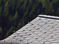 Mit Ussicht o uf Husrotschwanz, Alt und Jung (Bettelnd unde)